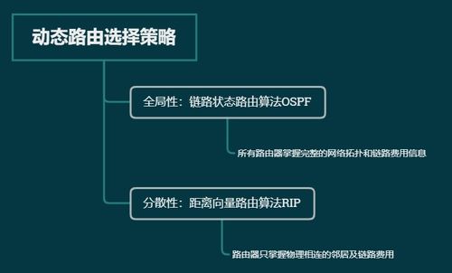 计算机网络基础 路由选择协议与软硬件及网络技术开发